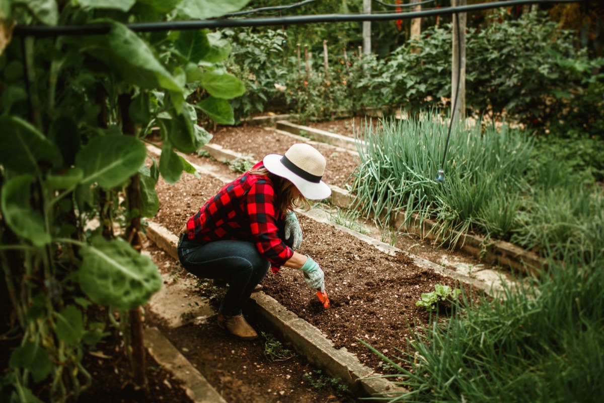 Un conseiller de la jardinerie